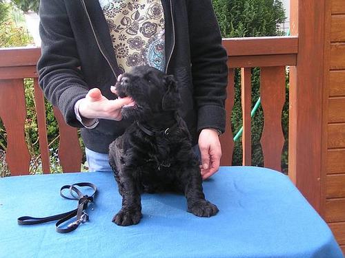 Click on the photo for the original