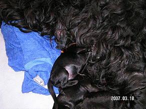 Click on the photo for the original