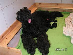 Click on the photo for the original