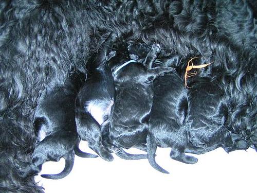 Click on the photo for the original