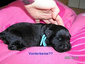 Click on the photo for the original