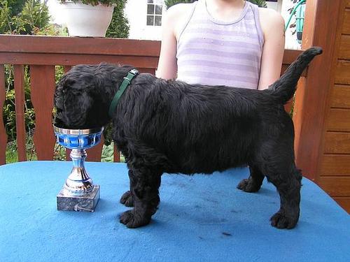 Click on the photo for the original