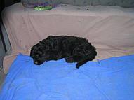 Click on the photo for the original