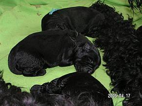 Click on the photo for the original