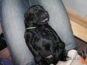 Click on the photo for the original