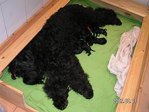 Click on the photo for the original