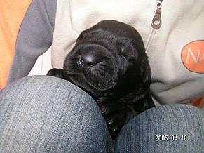 Click on the photo for the original