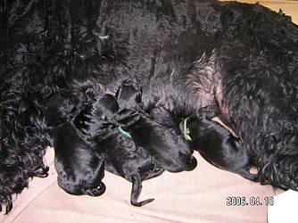 Click on the photo for the original