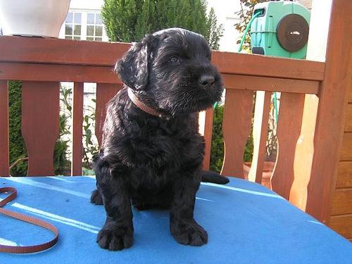 Click on the photo for the original