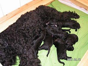 Click on the photo for the original