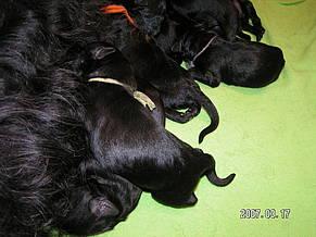 Click on the photo for the original