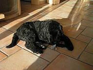 Click on the photo for the original