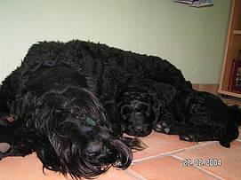 Click on the photo for the original