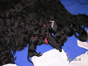 Click on the photo for the original