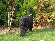 Click on the photo for the original