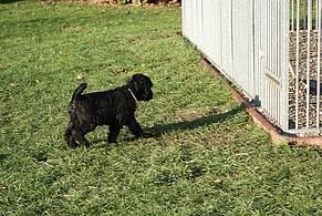 Click on the photo for the original