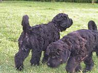 Click on the photo for the original