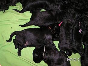 Click on the photo for the original