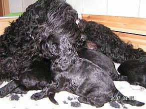 Click on the photo for the original