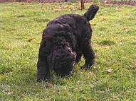 Click on the photo for the original