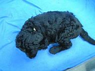 Click on the photo for the original