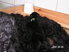 Click on the photo for the original