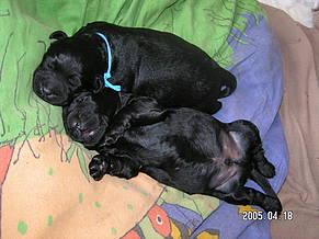 Click on the photo for the original