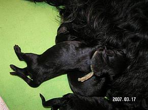 Click on the photo for the original