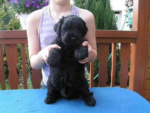 Click on the photo for the original