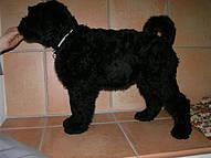 Click on the photo for the original