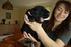 Click on the photo for the original