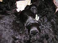 Click on the photo for the original