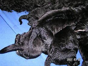 Click on the photo for the original