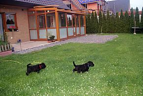 Click on the photo for the original