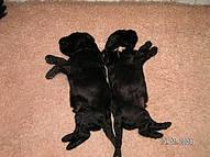 Click on the photo for the original