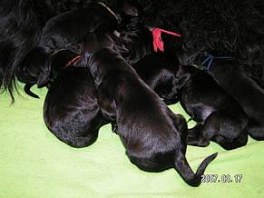 Click on the photo for the original