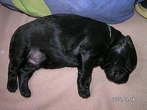 Click on the photo for the original