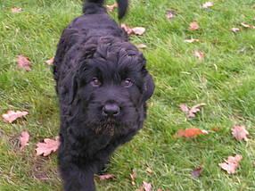 Click on the photo for the original