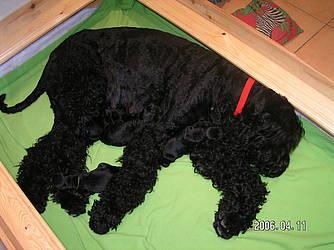 Click on the photo for the original