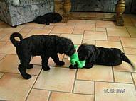 Click on the photo for the original