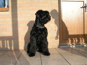 Click on the photo for the original