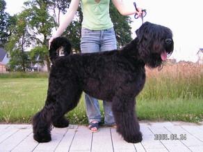 Click on the photo for the original