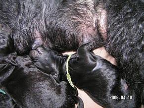 Click on the photo for the original