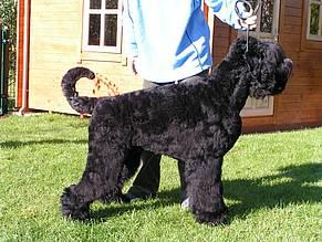 Click on the photo for the original