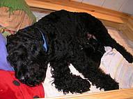 Click on the photo for the original