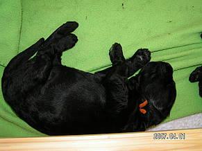 Click on the photo for the original