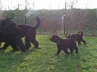 Click on the photo for the original