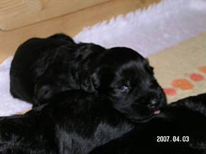 Click on the photo for the original