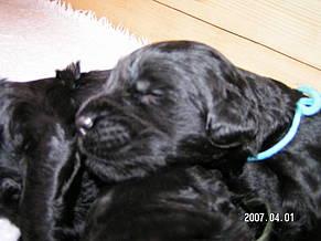 Click on the photo for the original