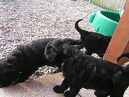 Click on the photo for the original